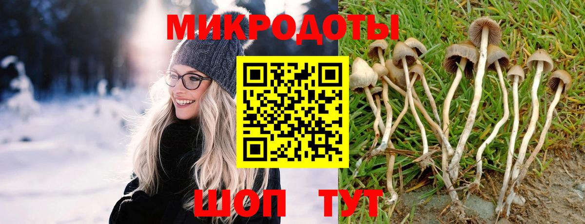 Псилоцибиновые грибы GOLDEN TEACHER  Галлюциногенные грибы ЛСД  Вход с VPN  Балаково 